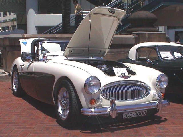 The black & white Healey 3000 at concours 2000