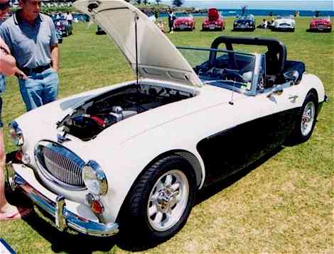 The black & white Healey 3000 at concours 1999